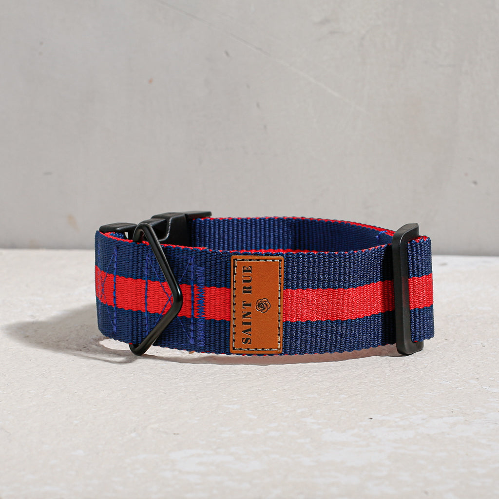 The City Dog Collar