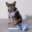 Smiling Sakura Adjustable Harness