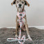 Dog Adjustable Harness - Sakura