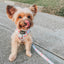 Dog Adjustable Harness - Sakura