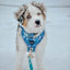 Dog Adjustable Harness - Santorini