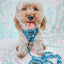 Dog Adjustable Harness - Santorini