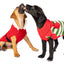 Christmas Elf Holiday Dog Sweater