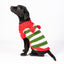 Christmas Elf Holiday Dog Sweater