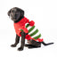 Christmas Elf Holiday Dog Sweater