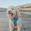Dog Adjustable Harness - Santorini
