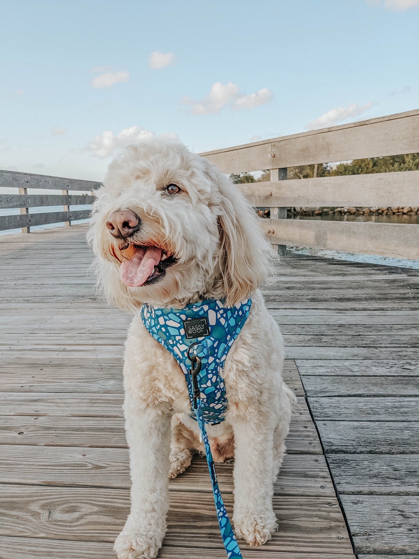 Dog Adjustable Harness - Santorini