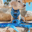 Dog Adjustable Harness - Santorini
