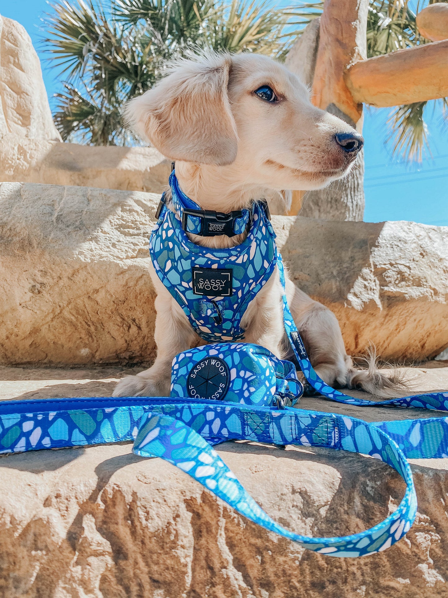 Dog Adjustable Harness - Santorini