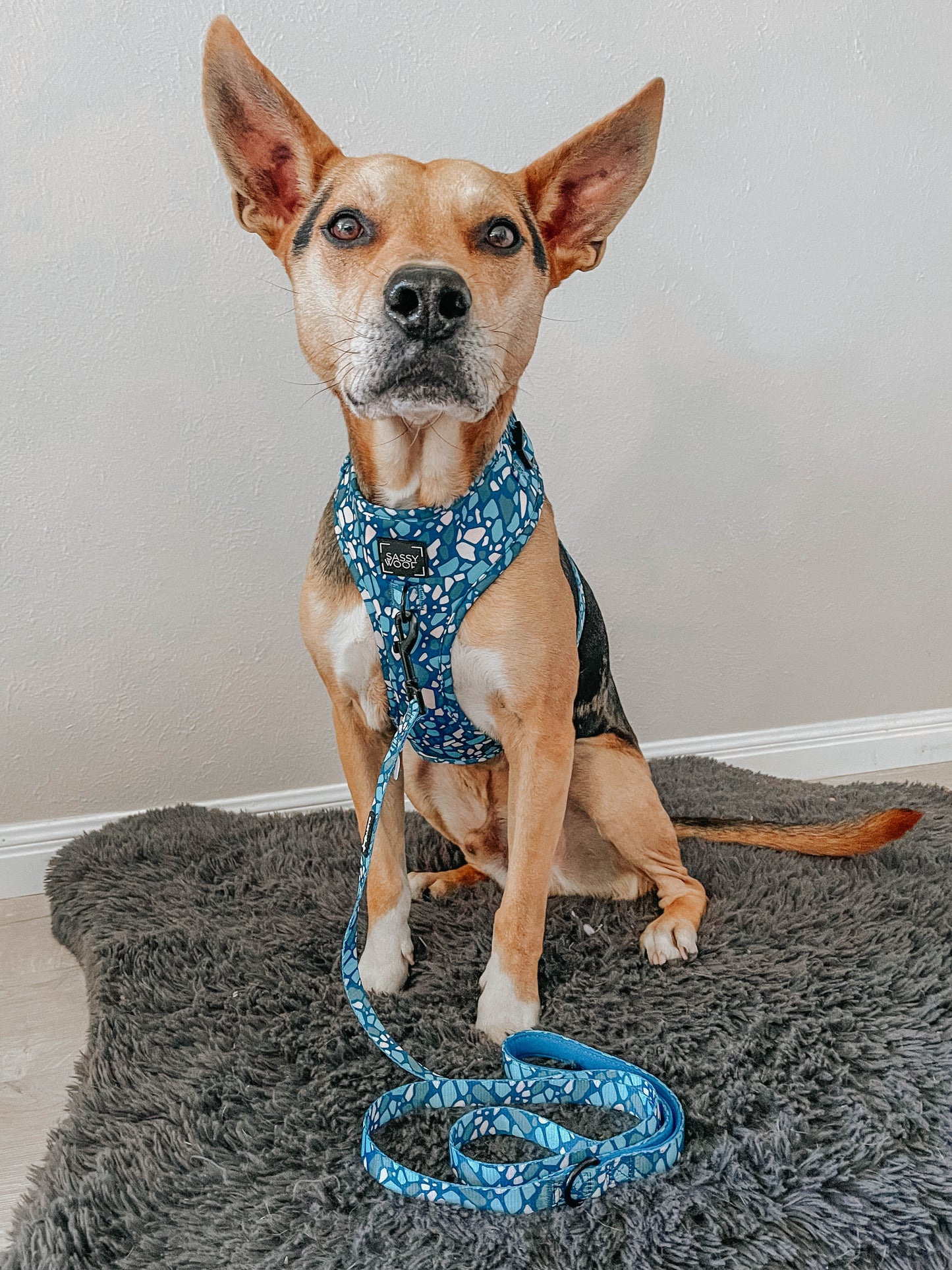Dog Adjustable Harness - Santorini