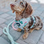 Dog Rope Leash - La Jolie Fleur