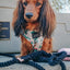 Dog Rope Leash - Noir
