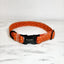 Amber Autumn Collar