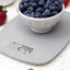 Food Balancer Kitchen Gram Scale