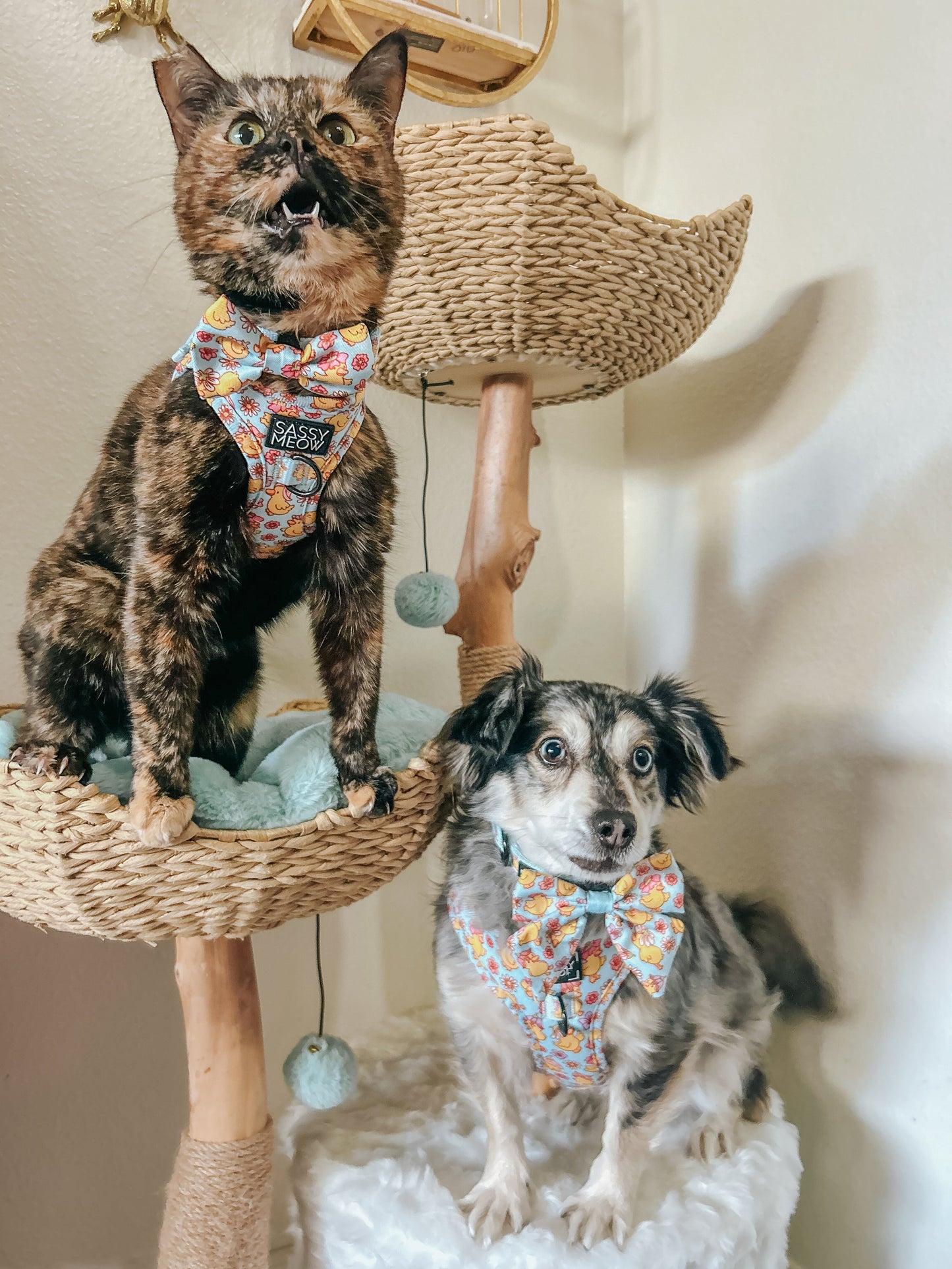 Dog Adjustable Harness - Good Duck, Babe!