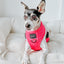 Dog Reversible Harness - Floral Frenzy