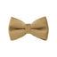 Shallow Khaki Velvet Set