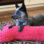 HuggleCause™, Living Beyond Breast Cancer, HuggleFleece® Pink Bones