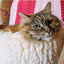 HuggleFleece® HuggleSnuggler™ Cat & Dog Beds