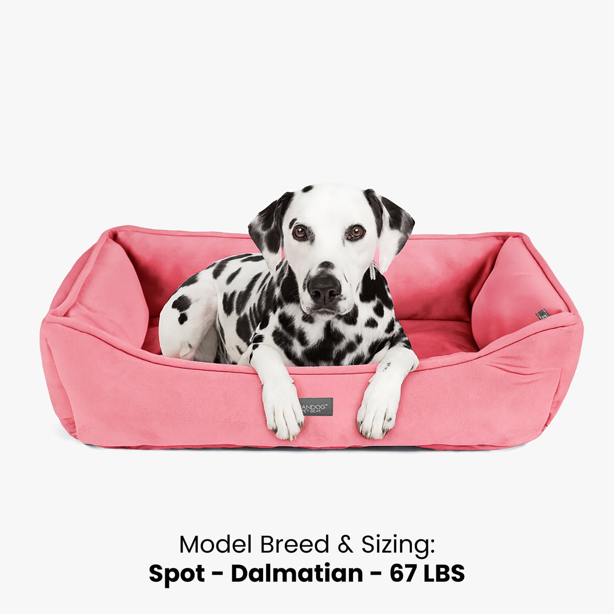 Signature Bed in Electric Pink