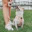 Dog Adjustable Harness - Simply the Zest