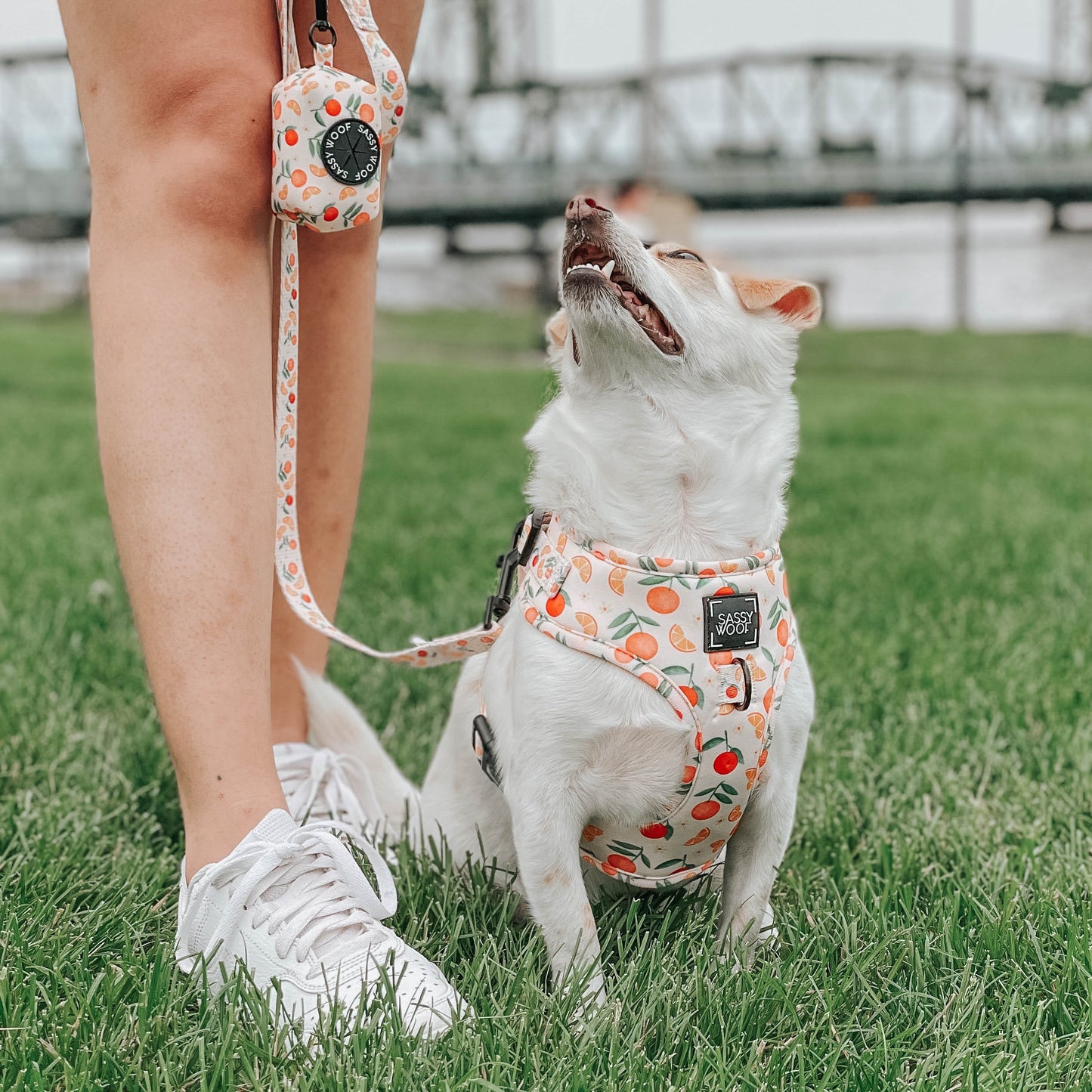 Dog Adjustable Harness - Simply the Zest
