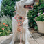 Dog Adjustable Harness - Simply the Zest