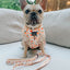 Dog Adjustable Harness - Simply the Zest
