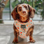 Dog Adjustable Harness - Simply the Zest