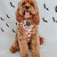 Dog Adjustable Harness - Squad Ghouls