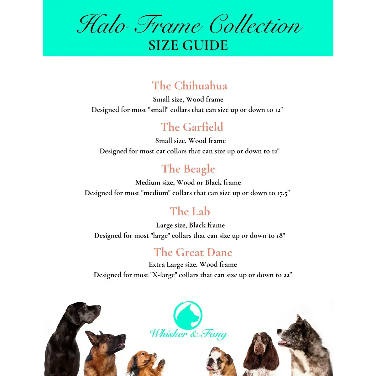 Medium Dog Collar Frame and Stand Bundle | " The Beagle" Wood