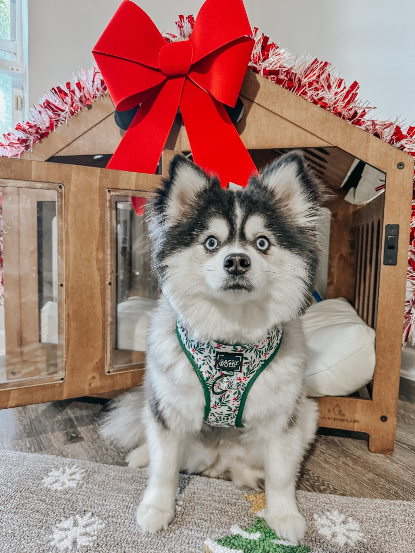 Dog Adjustable Harness - Under the Mistletoe