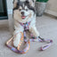 Dog Adjustable Harness - Alice in Wonderland (Purple)
