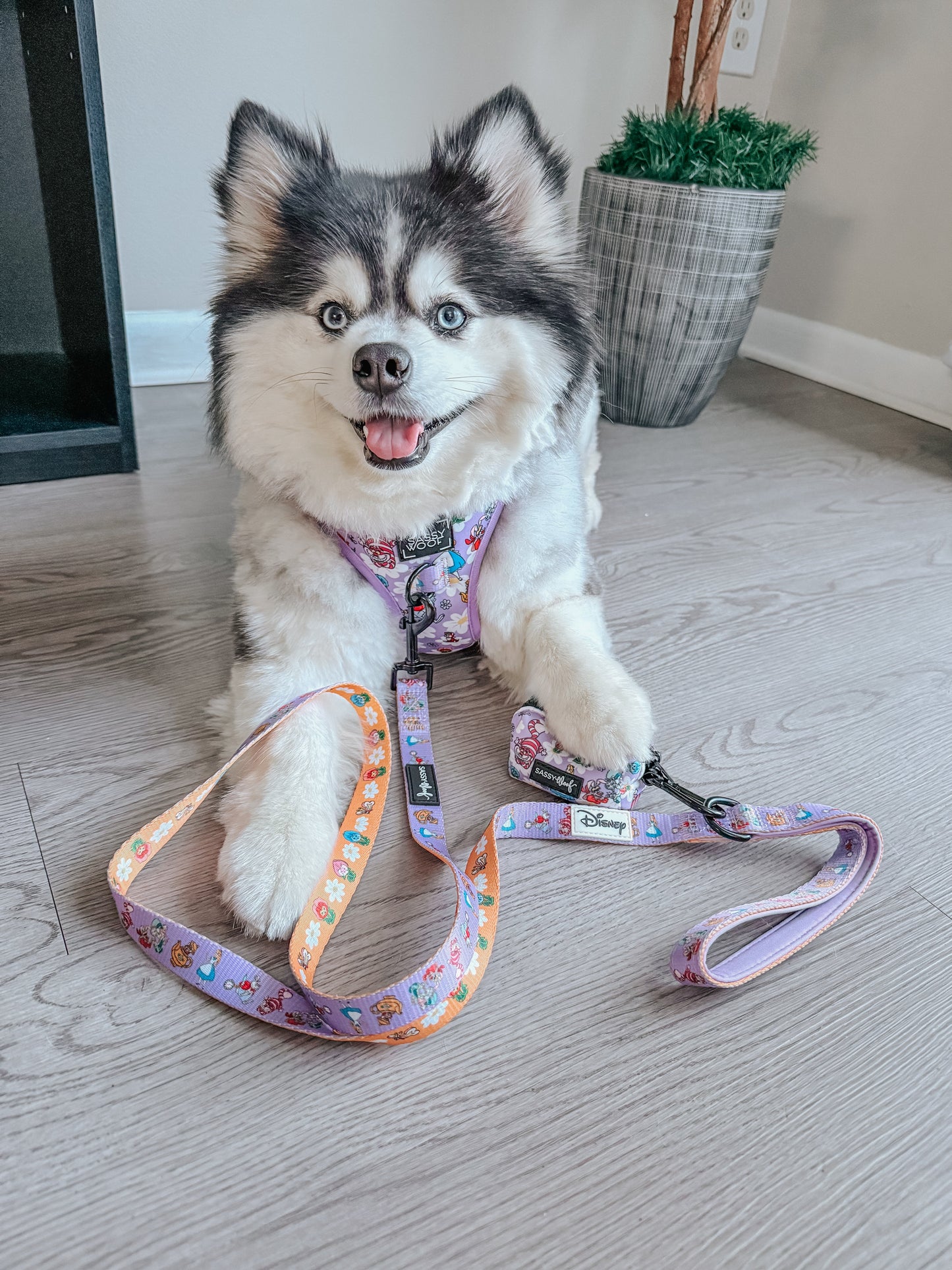 Dog Adjustable Harness - Alice in Wonderland (Purple)