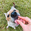 Elk & Venison Dog Treats