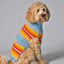Turquoise Serape Dog Sweater
