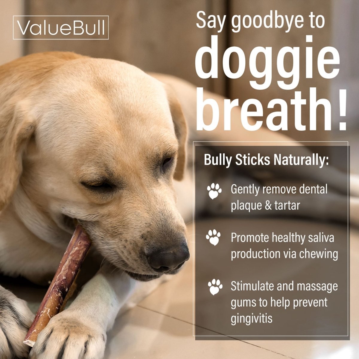 ValueBull Bully Sticks for Large Dogs, Jumbo 6 Inch, 50 Count