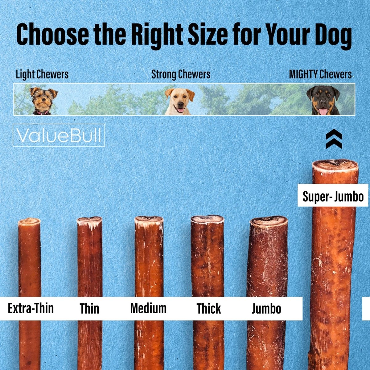 ValueBull Bully Sticks for Large Dogs, Super Jumbo 6 Inch, 50 Count