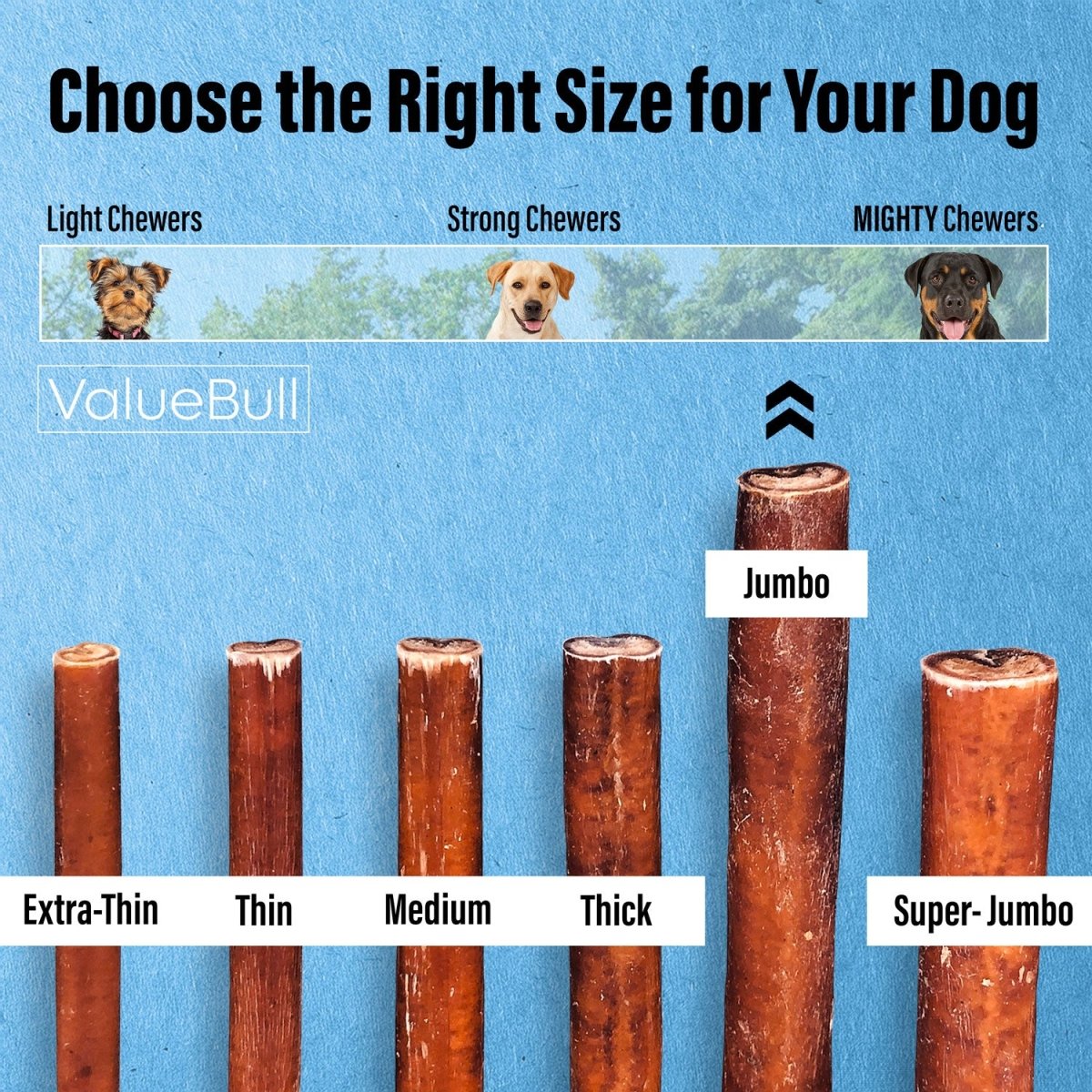 ValueBull Bully Sticks for Large Dogs, Jumbo 12 Inch, 25 Count