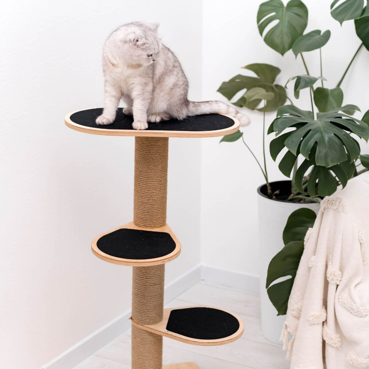 Small Cat Tower
