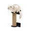Small Cat Tree – Black