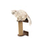 Small Cat Tree – Dark Walnut