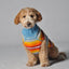 Turquoise Serape Dog Sweater