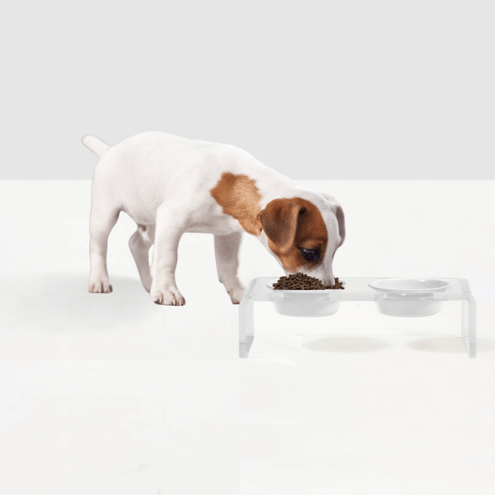 Small Black or White Bowl Feeder