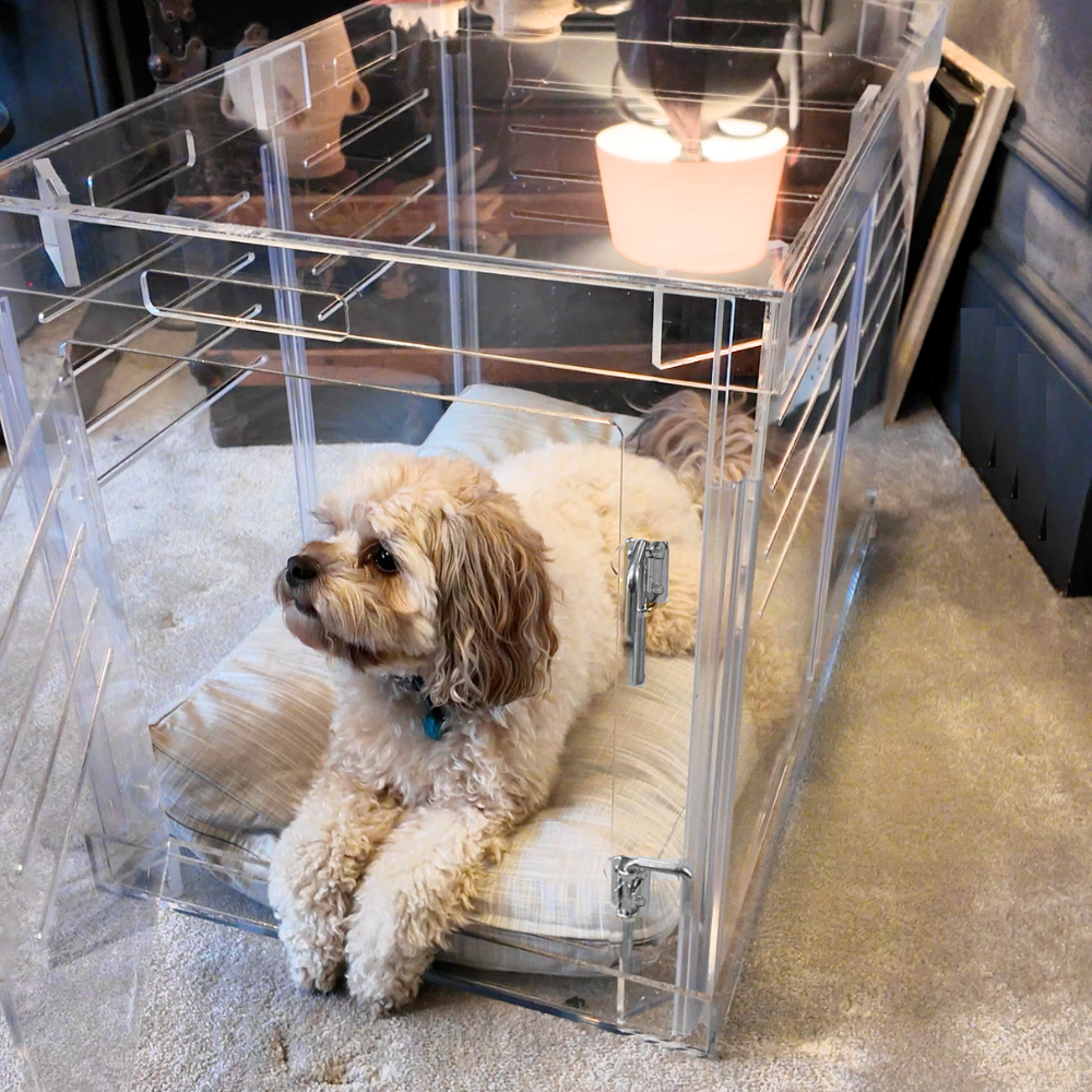 Medium Crate (Silver Latch)