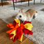 Chelsy’s Toys Snuffle Ball – Interactive Dog Enrichment, Treat & Training Toy
