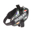 Julius-K9® IDC® Powerharness