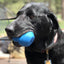 Double Trouble Dog Toy - Dual Chamber Treat Dispenser for Large Dogs | USA Made