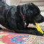 Pipe Wrench Nylon Dog Toy for Aggressive Chewers | USA Made | SodaPup