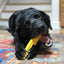 Pipe Wrench Nylon Dog Toy for Aggressive Chewers | USA Made | SodaPup